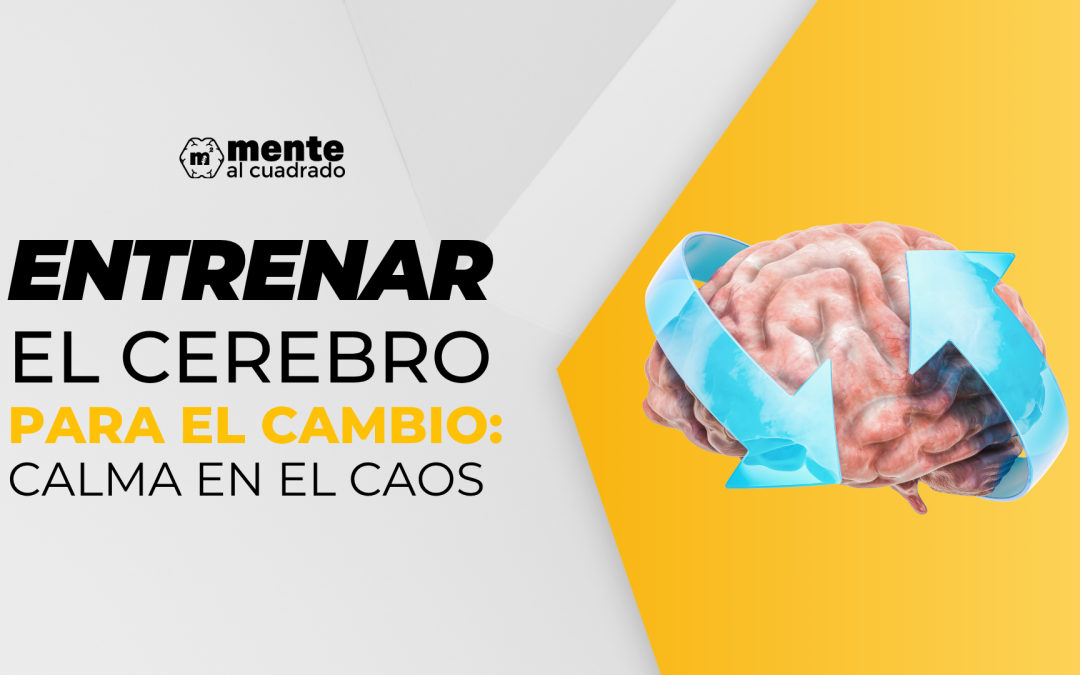 Entrenar el cerebro para el cambio: calma en el caos