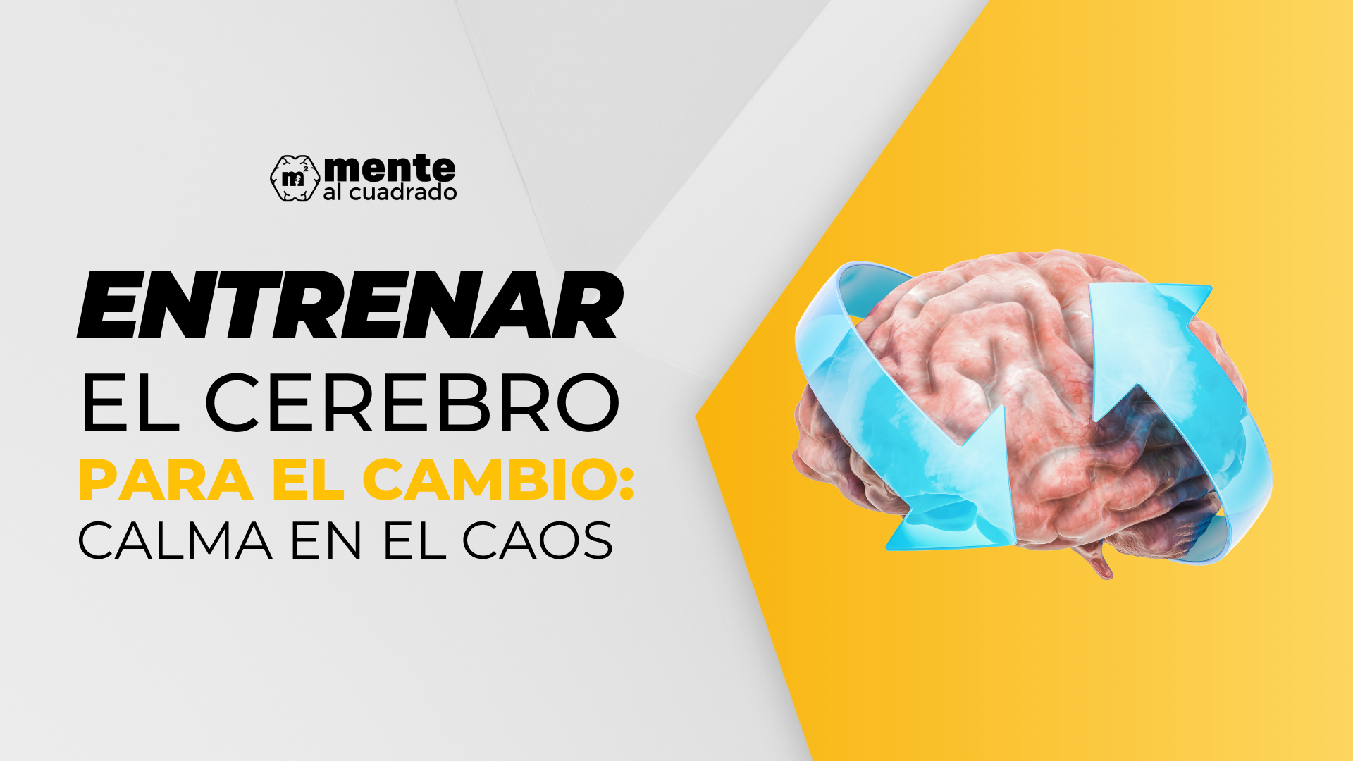 Entrenar el cerebro para el cambio: calma en el caos